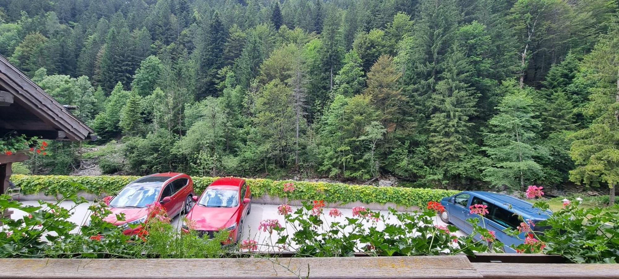 Apartments Pod Macesnovo Streho Solčava Dış mekan fotoğraf
