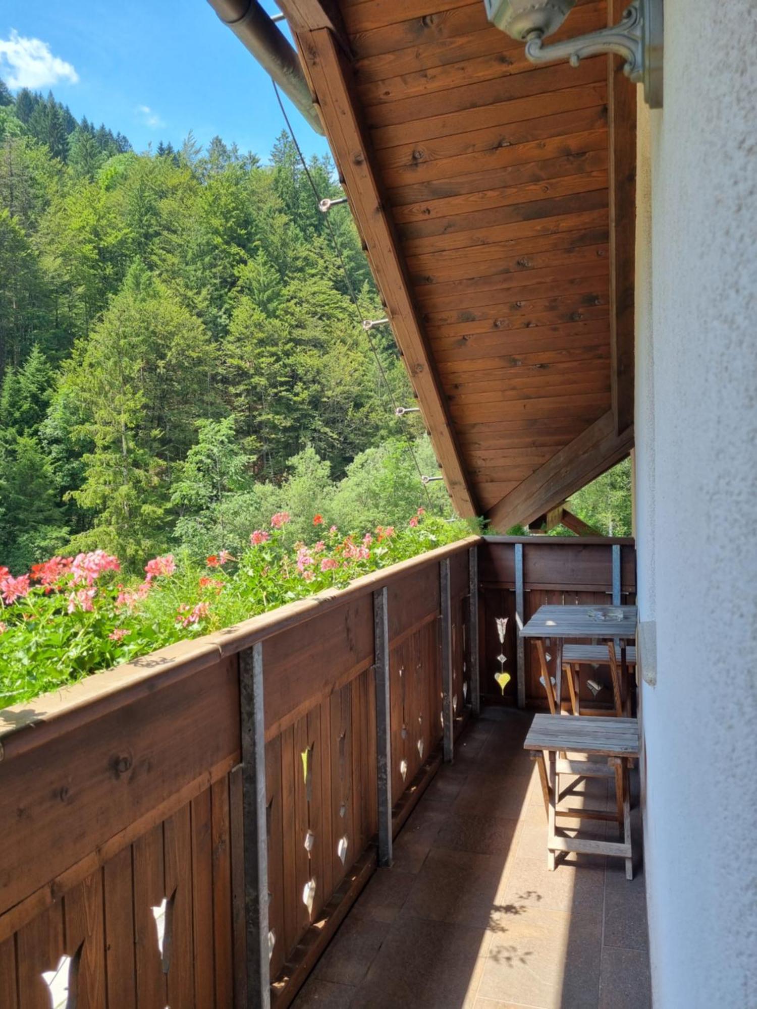 Apartments Pod Macesnovo Streho Solčava Dış mekan fotoğraf