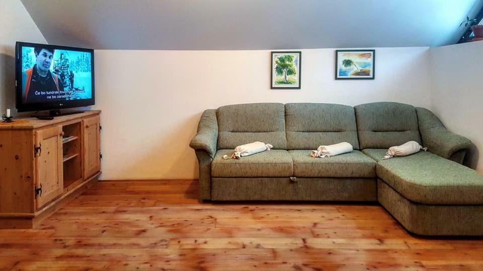 Apartments Pod Macesnovo Streho Solčava Dış mekan fotoğraf