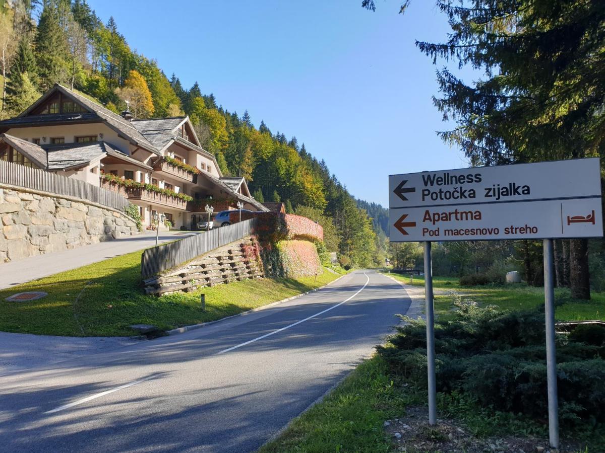 Apartments Pod Macesnovo Streho Solčava Dış mekan fotoğraf